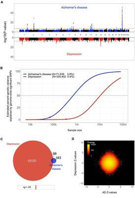 Genetic Overlap Between Alzheimer’s Disease and Depression Mapped Onto the Brain